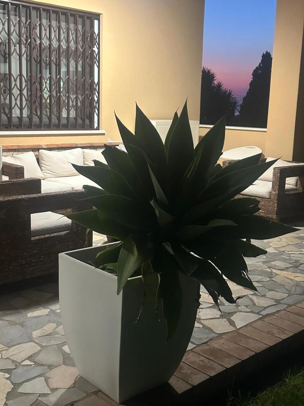 B&B Casa Marilu Fuscaldo Εξωτερικό φωτογραφία